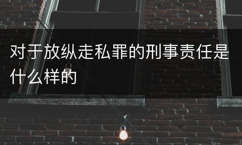 对于放纵走私罪的刑事责任是什么样的