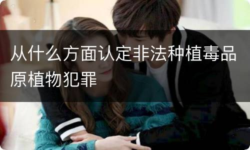 从什么方面认定非法种植毒品原植物犯罪