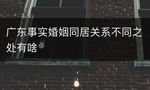 广东事实婚姻同居关系不同之处有啥