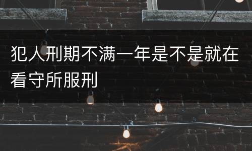 犯人刑期不满一年是不是就在看守所服刑