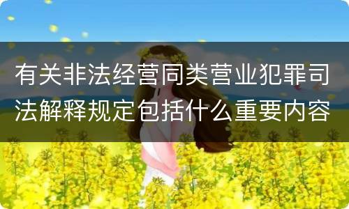 有关非法经营同类营业犯罪司法解释规定包括什么重要内容