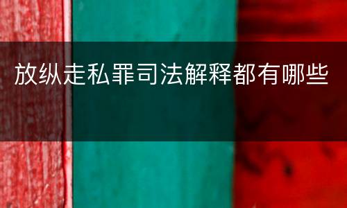 放纵走私罪司法解释都有哪些