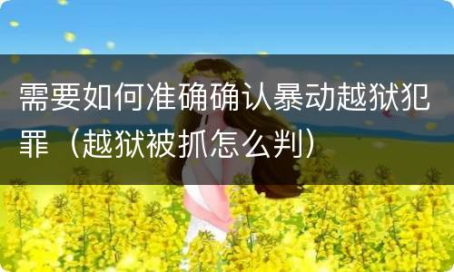 需要如何准确确认暴动越狱犯罪（越狱被抓怎么判）