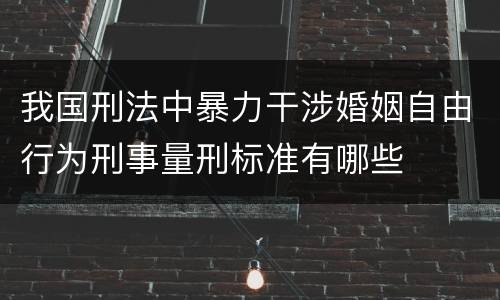 我国刑法中暴力干涉婚姻自由行为刑事量刑标准有哪些