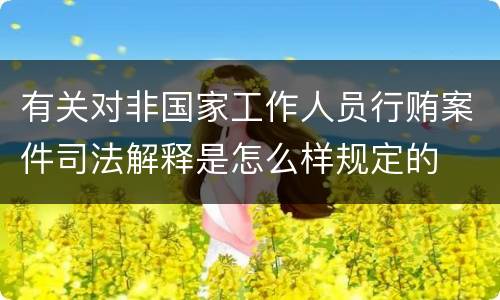 有关对非国家工作人员行贿案件司法解释是怎么样规定的