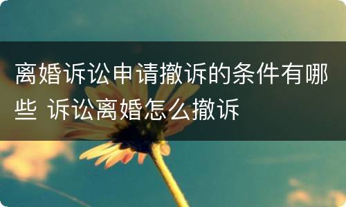 离婚诉讼申请撤诉的条件有哪些 诉讼离婚怎么撤诉