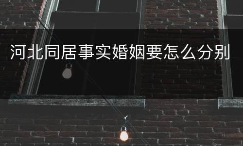 河北同居事实婚姻要怎么分别