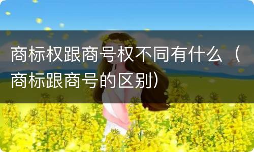 商标权跟商号权不同有什么（商标跟商号的区别）