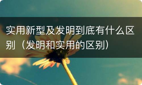 实用新型及发明到底有什么区别（发明和实用的区别）