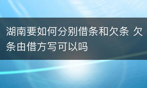 湖南要如何分别借条和欠条 欠条由借方写可以吗