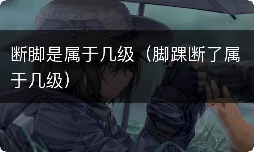 断脚是属于几级（脚踝断了属于几级）