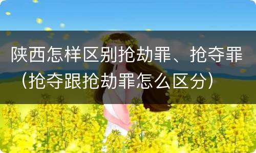 陕西怎样区别抢劫罪、抢夺罪（抢夺跟抢劫罪怎么区分）