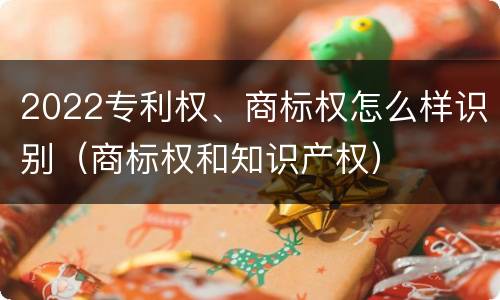 2022专利权、商标权怎么样识别（商标权和知识产权）