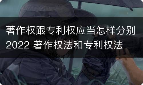 著作权跟专利权应当怎样分别2022 著作权法和专利权法