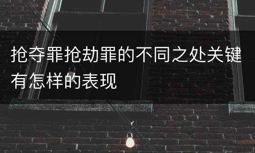 抢夺罪抢劫罪的不同之处关键有怎样的表现