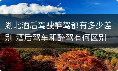 湖北酒后驾驶醉驾都有多少差别 酒后驾车和醉驾有何区别