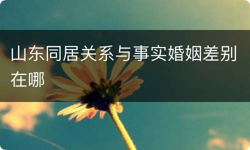 山东同居关系与事实婚姻差别在哪