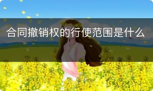 合同撤销权的行使范围是什么
