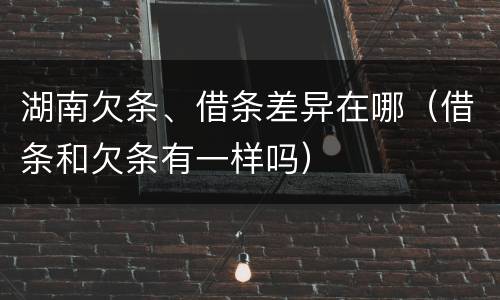 湖南欠条、借条差异在哪（借条和欠条有一样吗）