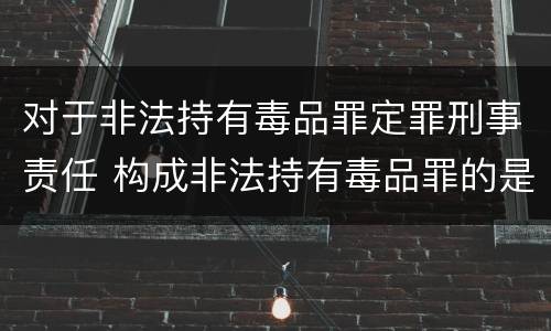 对于非法持有毒品罪定罪刑事责任 构成非法持有毒品罪的是