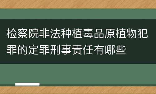 检察院非法种植毒品原植物犯罪的定罪刑事责任有哪些
