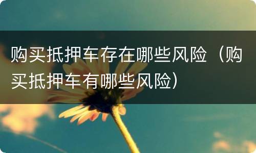 购买抵押车存在哪些风险（购买抵押车有哪些风险）