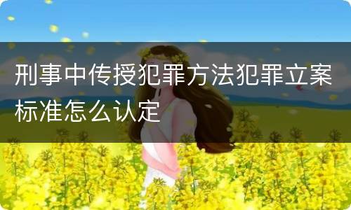 刑事中传授犯罪方法犯罪立案标准怎么认定