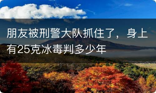 朋友被刑警大队抓住了，身上有25克冰毒判多少年