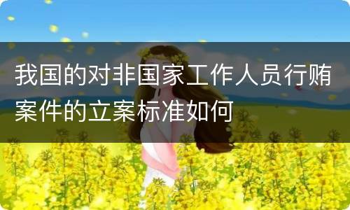 我国的对非国家工作人员行贿案件的立案标准如何