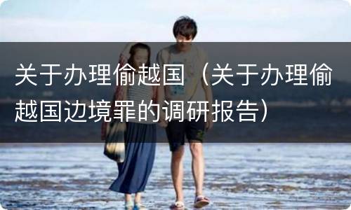 关于办理偷越国（关于办理偷越国边境罪的调研报告）
