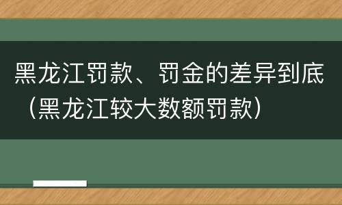 黑龙江罚款、罚金的差异到底（黑龙江较大数额罚款）