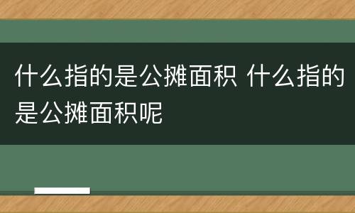 什么指的是公摊面积 什么指的是公摊面积呢