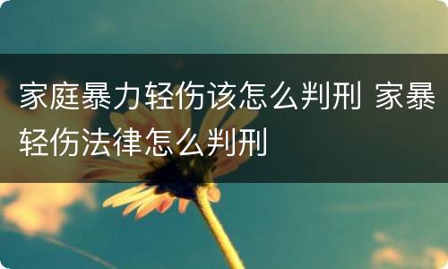 家庭暴力轻伤该怎么判刑 家暴轻伤法律怎么判刑