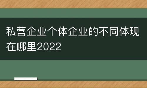 私营企业个体企业的不同体现在哪里2022
