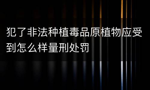 犯了非法种植毒品原植物应受到怎么样量刑处罚