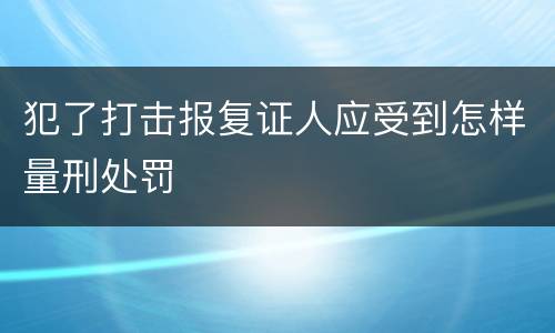 犯了打击报复证人应受到怎样量刑处罚