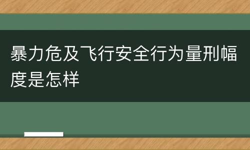 暴力危及飞行安全行为量刑幅度是怎样