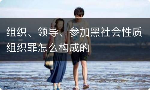 组织、领导、参加黑社会性质组织罪怎么构成的
