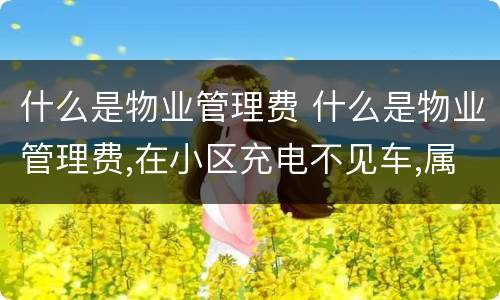 什么是物业管理费 什么是物业管理费,在小区充电不见车,属物业责任吗